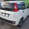 Fiat Panda Van 1.3 mjet 75cv anno 01-2015